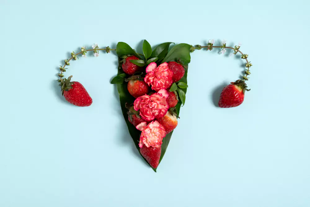 Reproductive System With Strawberries